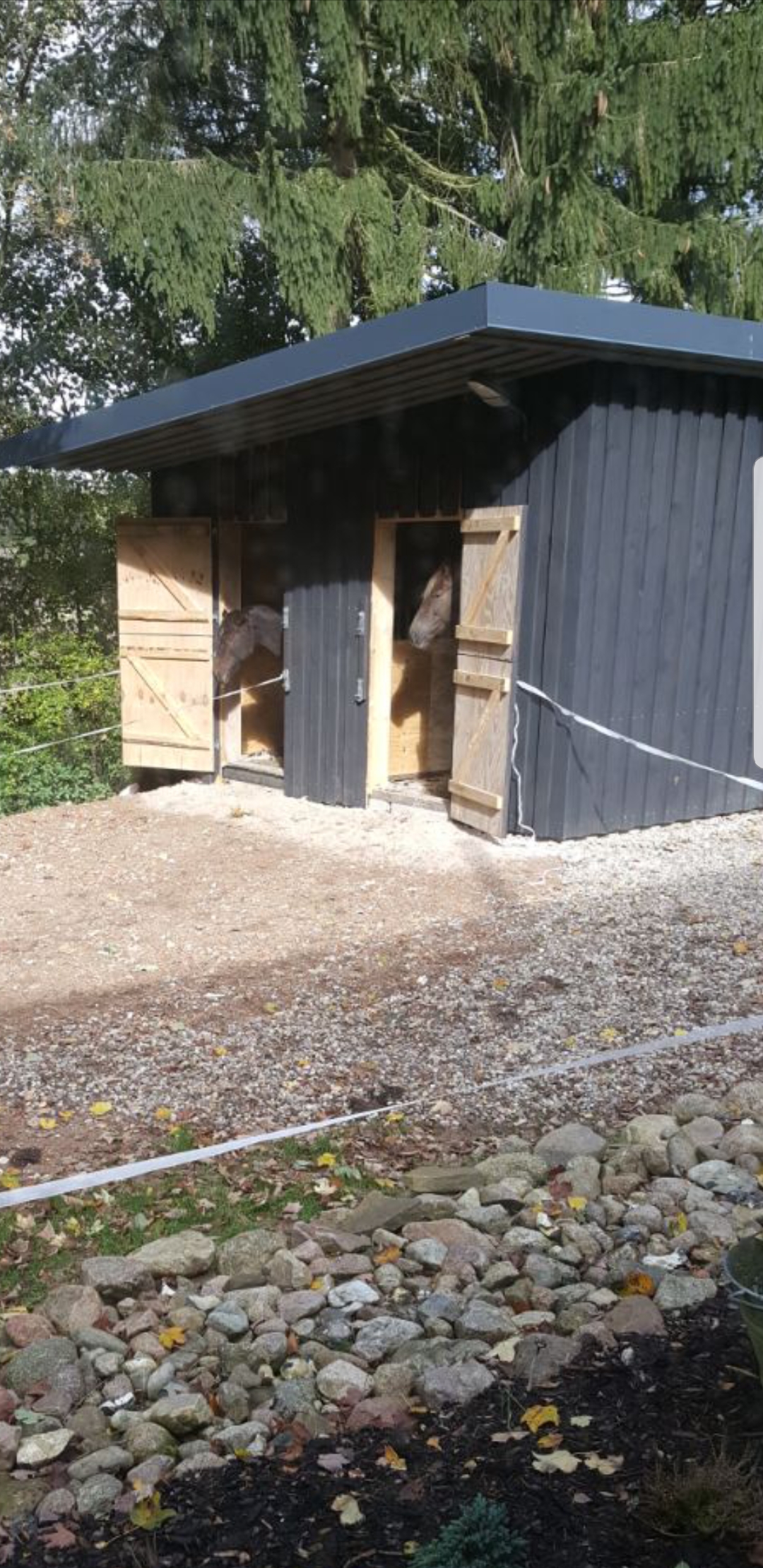 Carports & Anbauten 2 – Holzbau Müller Rügen